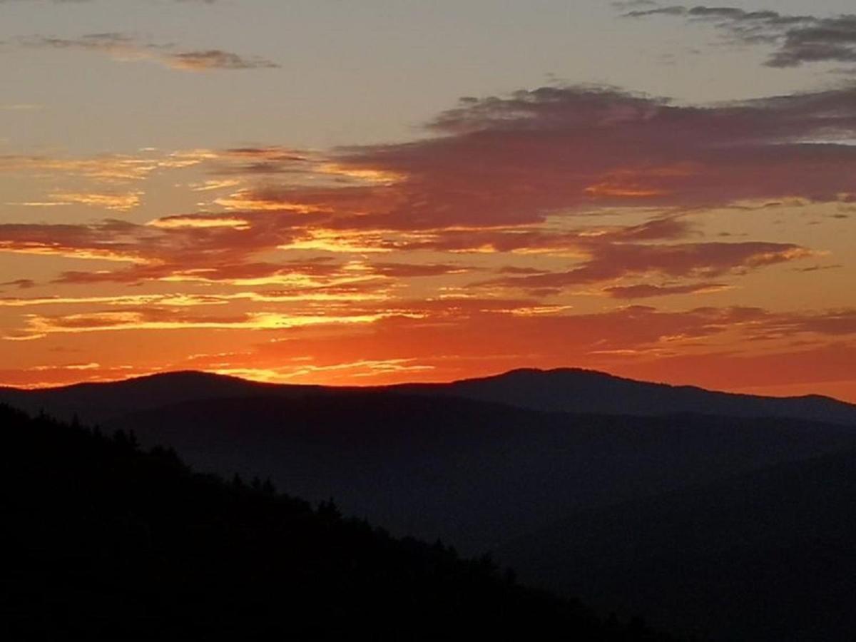 Ferienland Sonnenwald Fewo 46 Und Studio 50 In Schoefweg Bayerischer Wald Kültér fotó