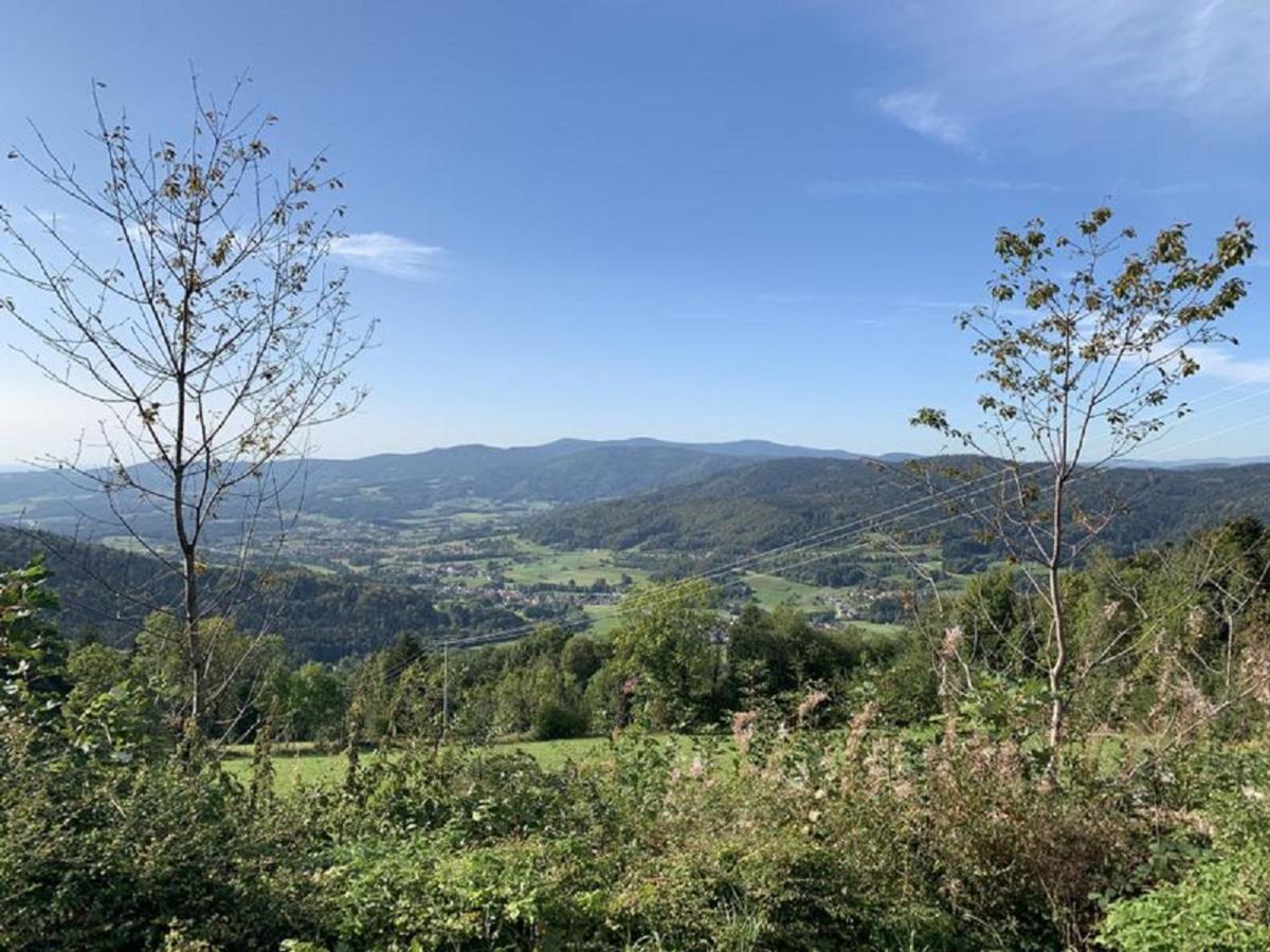 Ferienland Sonnenwald Fewo 46 Und Studio 50 In Schoefweg Bayerischer Wald Kültér fotó