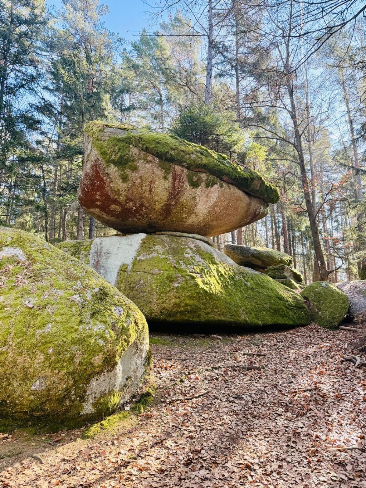 Ferienland Sonnenwald Fewo 46 Und Studio 50 In Schoefweg Bayerischer Wald Kültér fotó