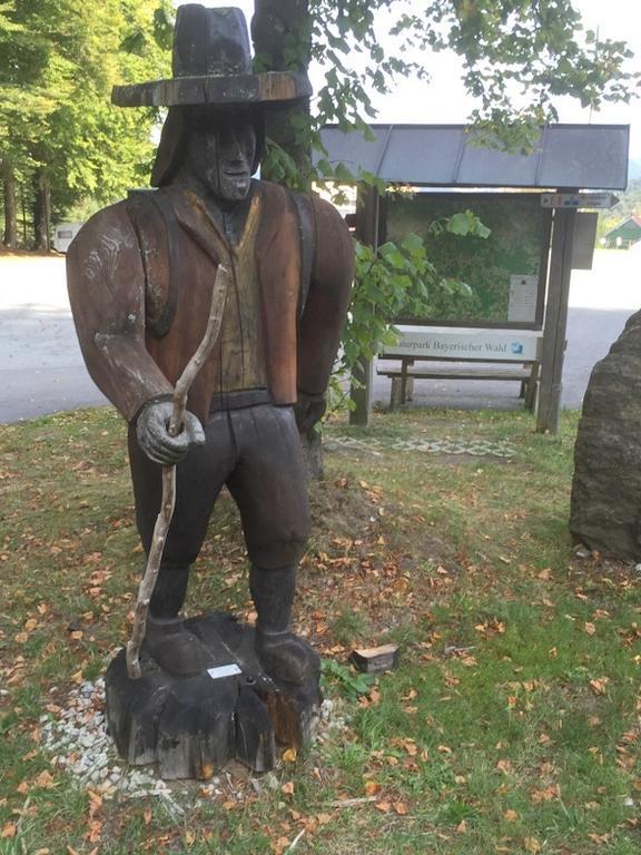 Ferienland Sonnenwald Fewo 46 Und Studio 50 In Schoefweg Bayerischer Wald Szoba fotó