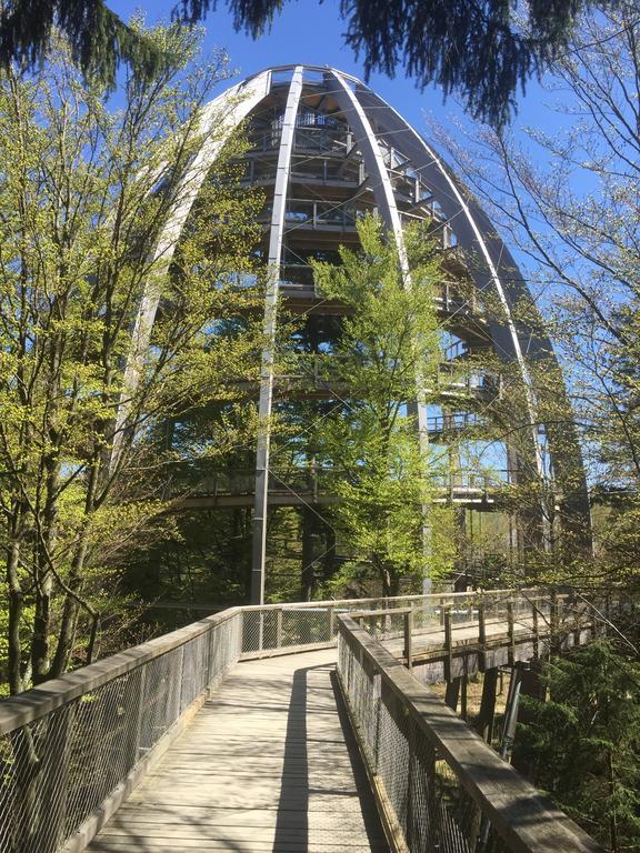 Ferienland Sonnenwald Fewo 46 Und Studio 50 In Schoefweg Bayerischer Wald Kültér fotó